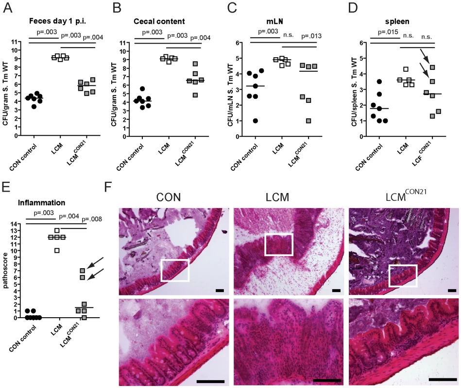LCM gain CR by re-association with normal CON microbiota.