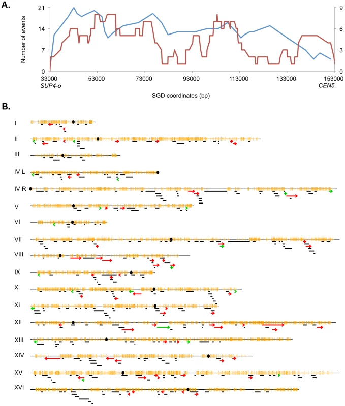Patterns of selected events on chromosome V and unselected events throughout the genome.