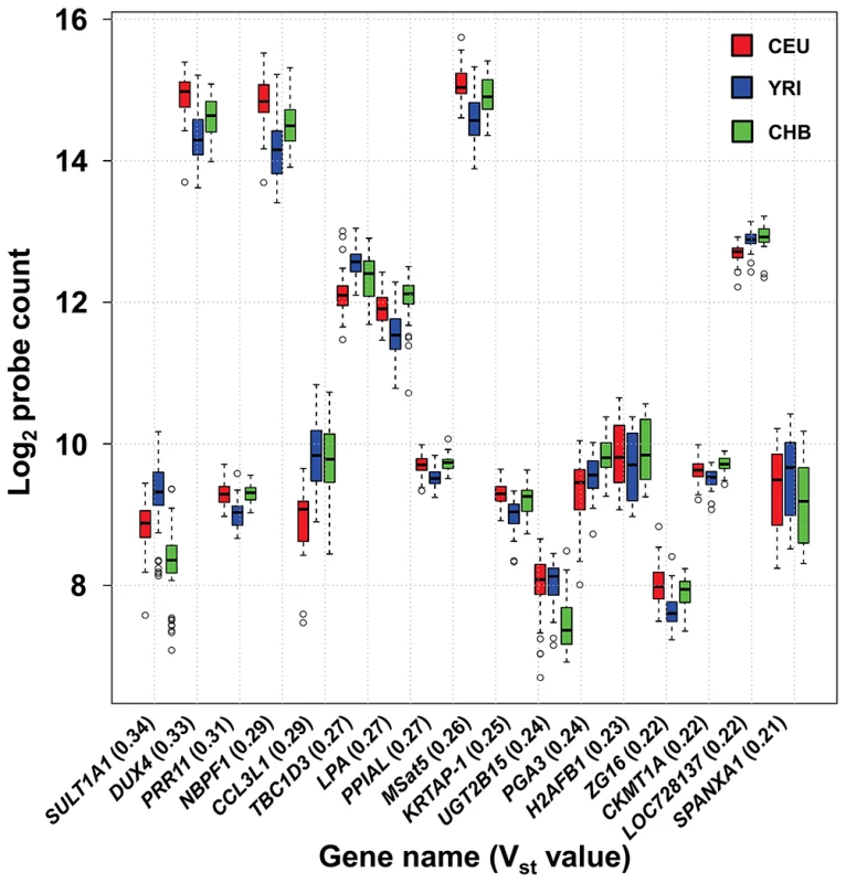 High frequency of population stratification for CNV of multicopy genes.