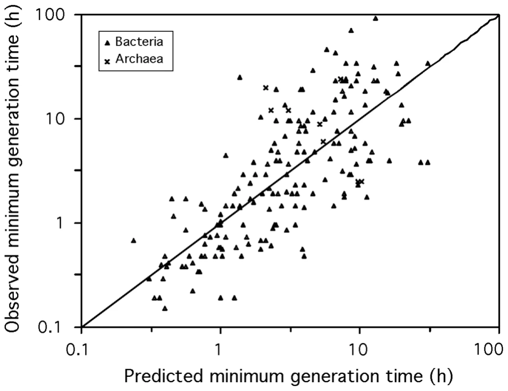 Observed versus predicted minimum generation time.