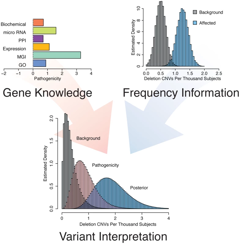 Concept of gene and variant prioritization. Top Left