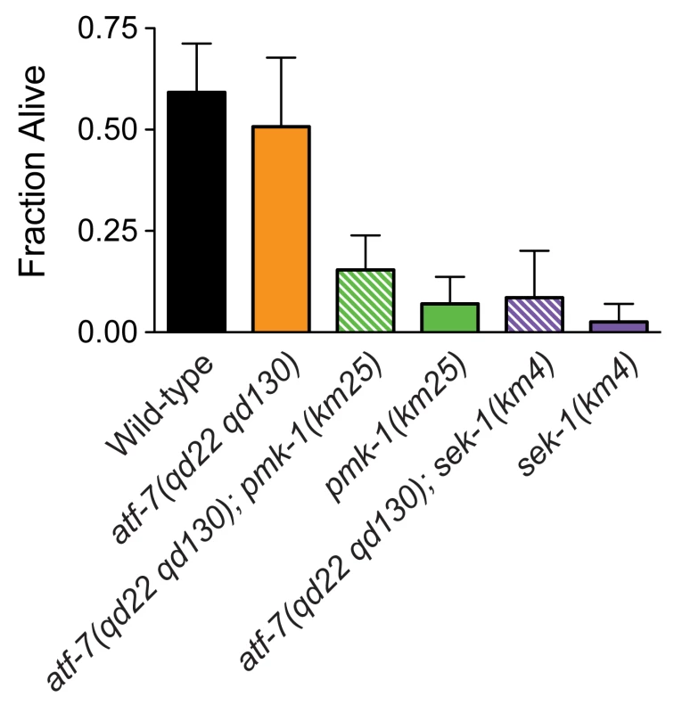 ATF-7 does not contribute to arsenite resistance in <i>C. elegans</i>.