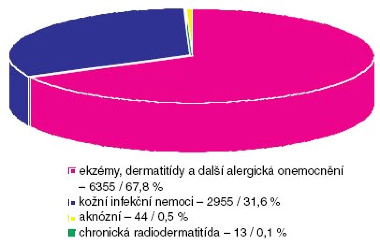 Profesionální dermatózy – podle kapitol „Seznamu nemocí z povolání“ v ČR (1992–2007) (n 9363).