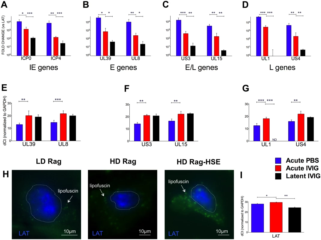 Acute and latent gene expression in HD infected B6-Rag trigeminal ganglia.