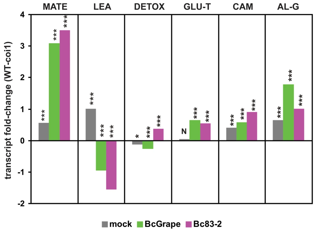 Genotype and <i>B. cinerea</i> effects on transcription of co-regulated genes and biosynthetic pathways.