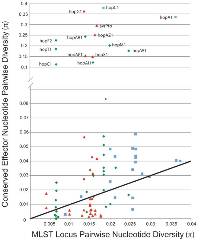 A minority of shared TTE alleles display elevated levels of nucleotide divergence.