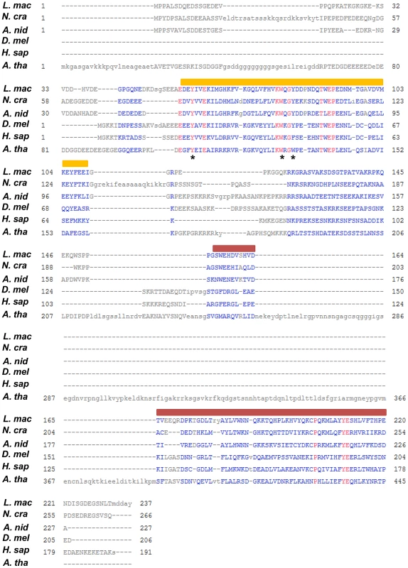 Multiple sequence alignment of LmHP1 with other characterised HP1 proteins.