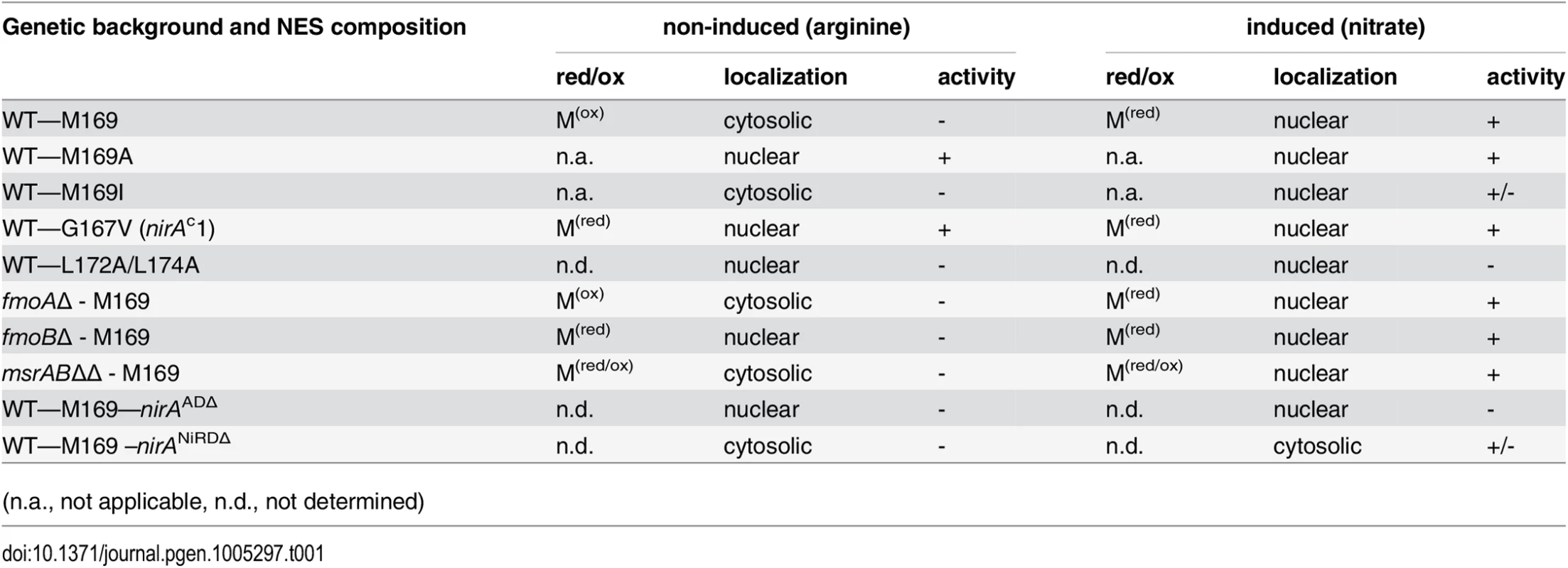 Overview of correlations between NES sequences, oxidation status of M169 (red/ox), NirA-GFP subcellular localization and NirA transcriptional activity in different genetic backgrounds of strains grown under non-inducing or inducing conditions.
