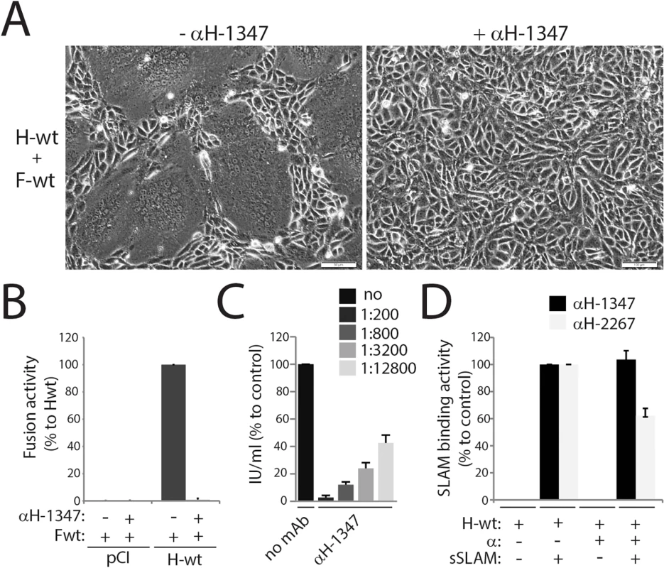 Inhibition of CDV-mediated viral-cell and cell-cell fusion by the anti-CDV-H mAb-1347.