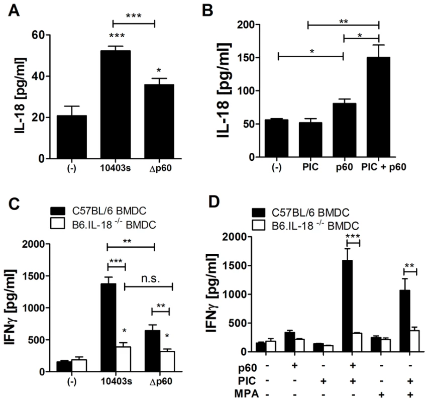 IL-18 produced by BMDCs is required for p60-elicited IFNγ from NK cells in co-culture.