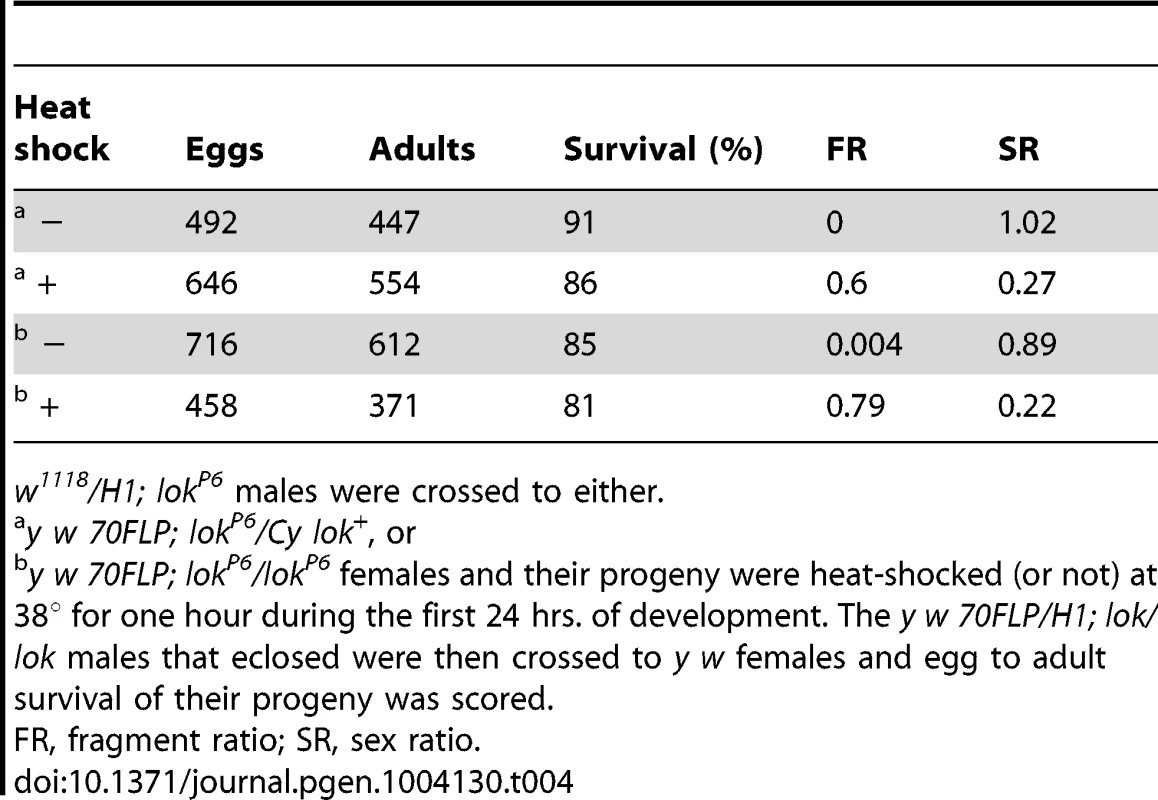 Viability of eggs fertilized by <i>y w 70FLP3F/DcY, H1; lok/lok</i> males.