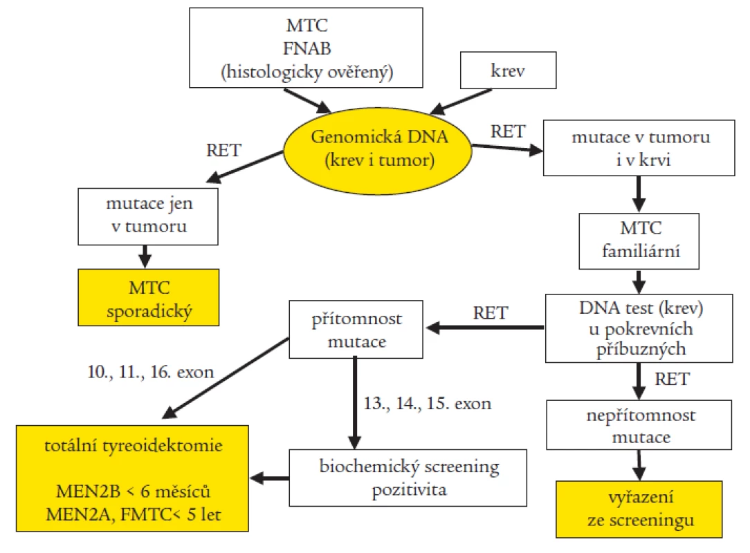 Optimální schéma molekulárně genetické diagnostiky RET proto-onkogenu u medulárního karcinomu štítné žlázy (MTC) a syndromů MEN2 (FNAB – biopsie tenkou jehlou)