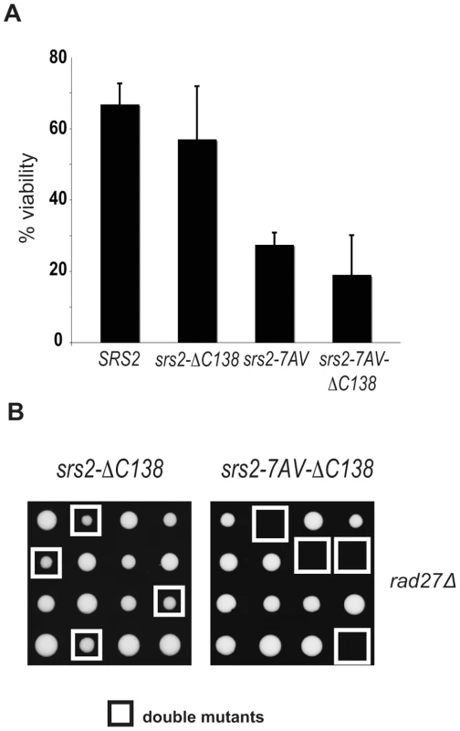 The Cdk1-dependent role of Srs2 does not depend on its interaction with PCNA.