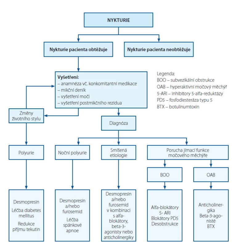 Algoritmus diagnostiky a terapie nykturie v kontextu LUTS (upraveno podle (9))
Fig. 1. Diagnostic and therapeutic algorithm for nocturia in the context of LUTS (adapted from (9))