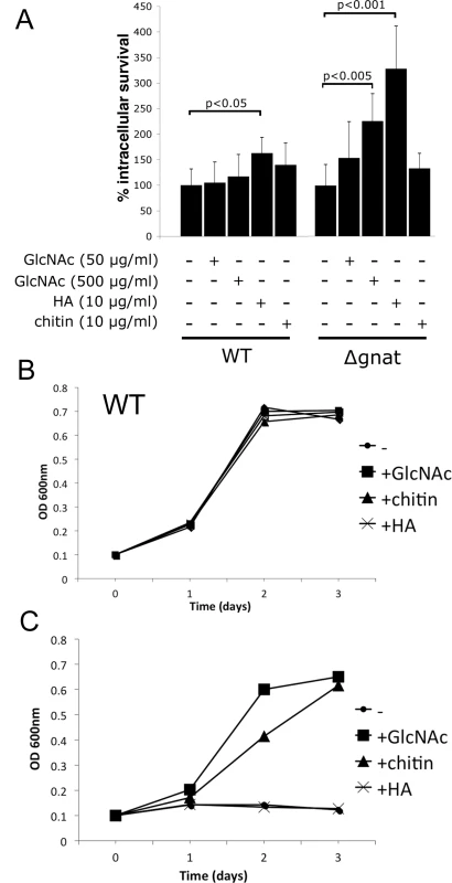 Intracellular ∆<i>gnat</i> parasites are rescued by exogenous GlcNAc sources.