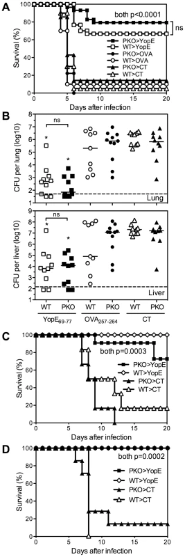 Perforin is dispensable for YopE<sub>69–77</sub>–specific CD8 T cell-mediated protection against <i>Y. pestis</i> and <i>Y. pseudotuberculosis</i>.