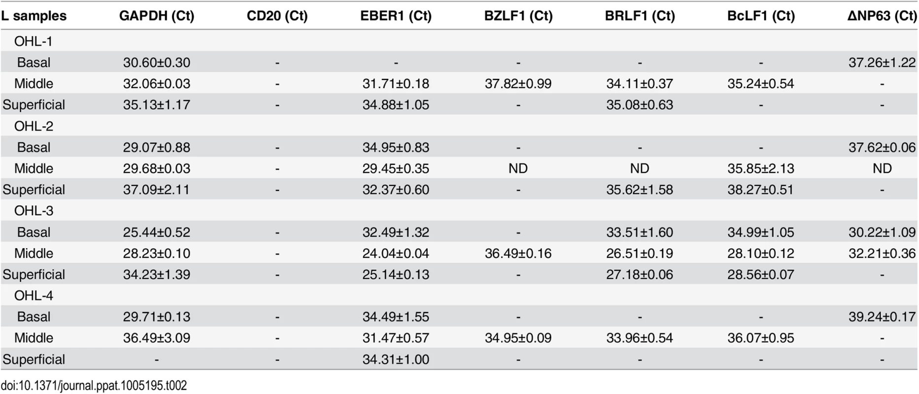 EBV transcript expression OHL lesions.