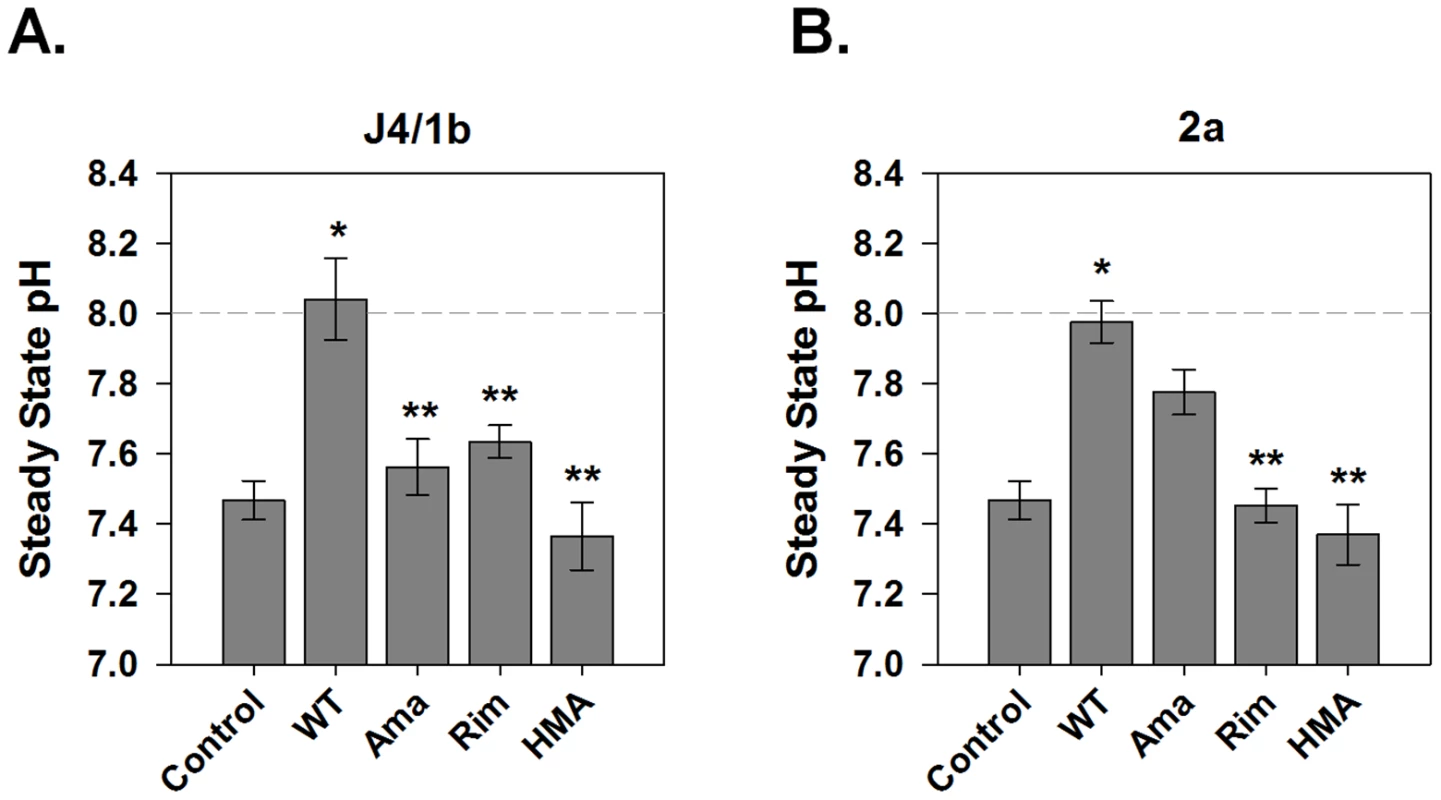 Sensitivity of p7-associated pH changes to known viroporin inhibitors.