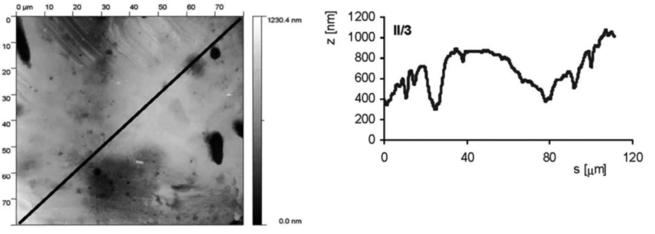 AFM vzorku II/3 (leštěný a leptaný s povrchovou ztrátou 0,03 mm). Snímek povrchu a jeho profil ve směru úhlopříčky, naznačené ve snímku, byl měřen pomocí AFMmikroskopu Explorer III (Veeco, Santa Barbara, Kalifornie,USA).