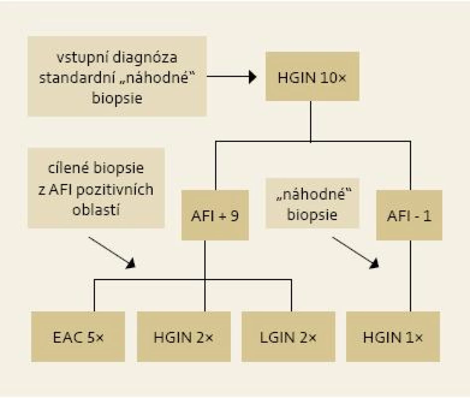 Výsledky cílených biopsií z AFI pozitivních okrsků u pacientů s HGIN/EAC .
Fig. 4. Results of targeted biopsies from AFI-positive areas in patients with HGIN/EAC.