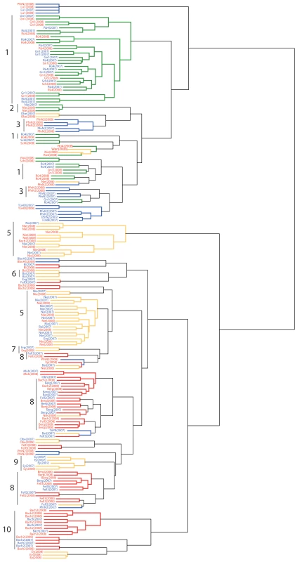 Clustering of 2007 and 2008 genotypes.