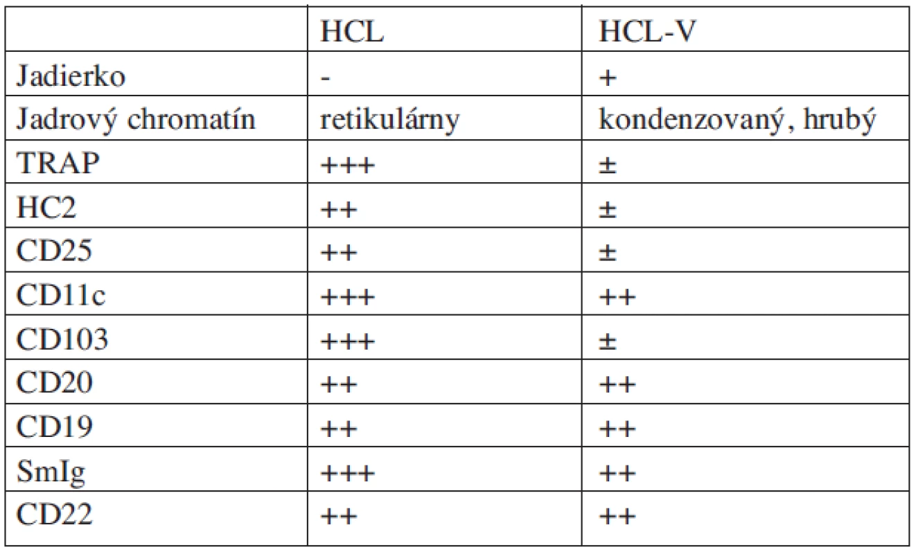 Imunofenotypové a morfologické rozdiely medzi HCL a HCL-V.