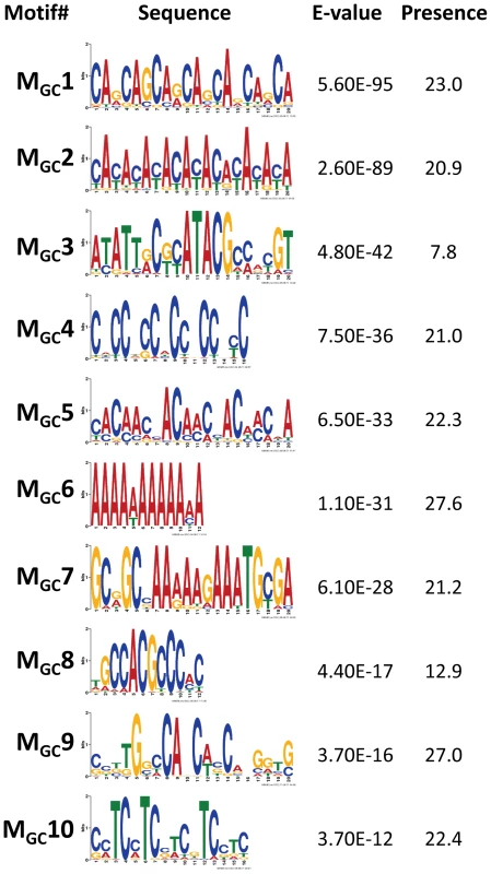 Top motifs found enriched in sequences encompassing GC events.