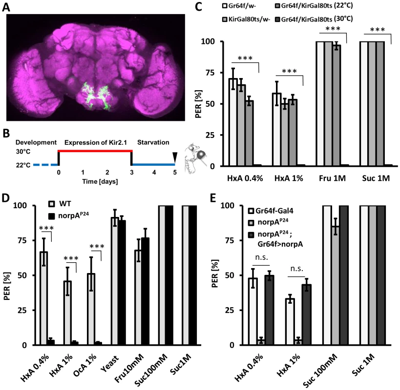 Fatty acids taste requires intact PLC signaling specifically in sugar-sensing neurons.