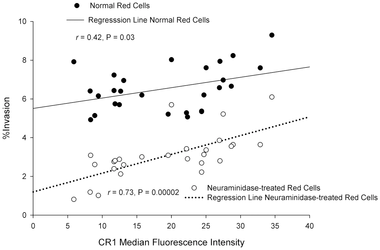 Correlation between CR1 median fluorescence intensity (MFI) and invasion of erythrocytes by <i>P. falciparum</i> 7G8.