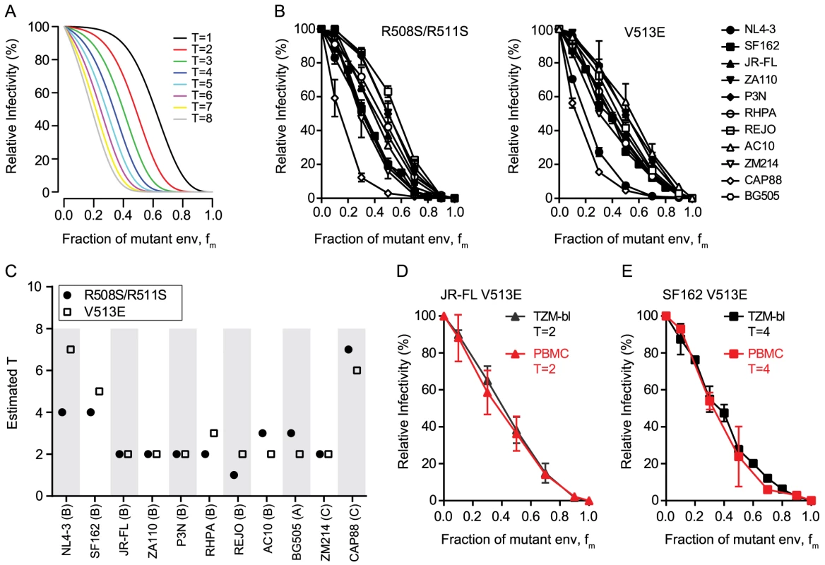 HIV-1 strains differ in the number of trimers required for entry.