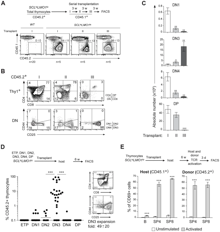 The <i>SCL</i> and <i>LMO1</i> oncogenes confer an aberrant self-renewal potential to DN3 pre-leukemic thymocytes.