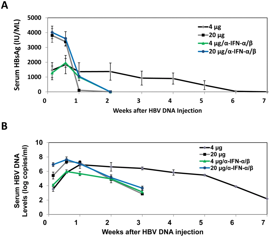 Analysis of HBV replication in mice.