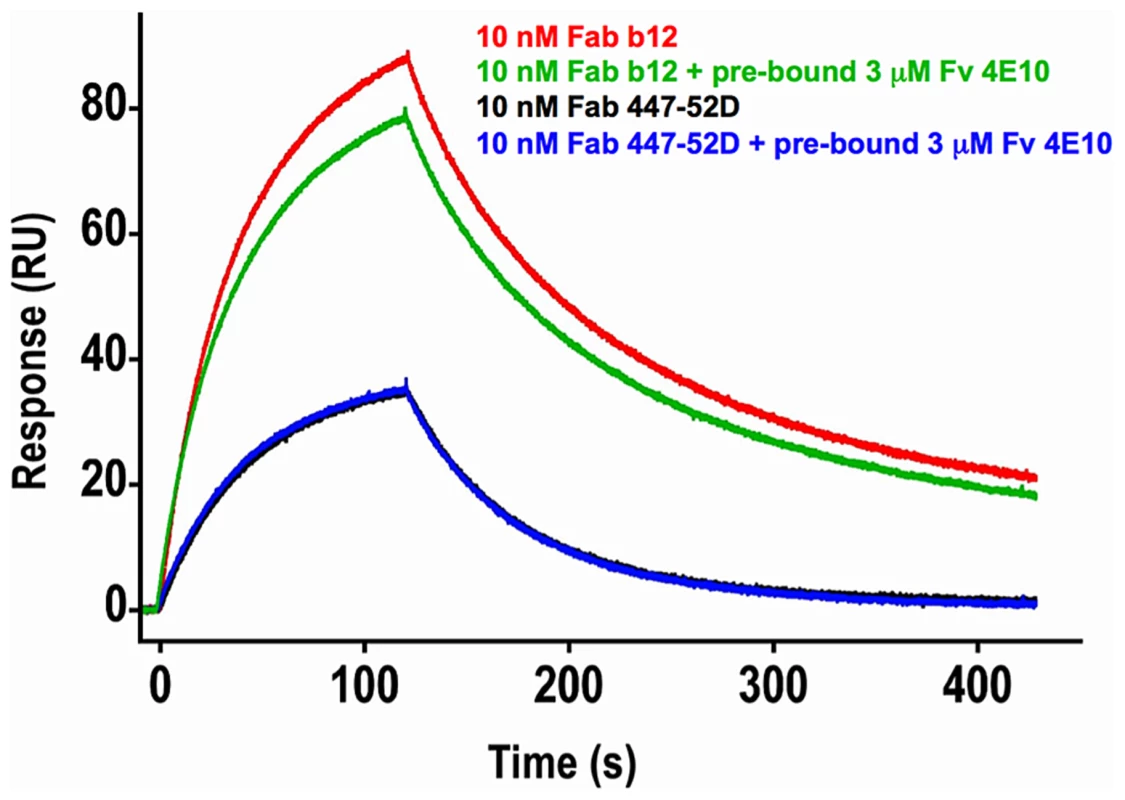 Effects of 4E10/gp140<sub>3</sub> pre-binding on 447-52D and b12 binding.