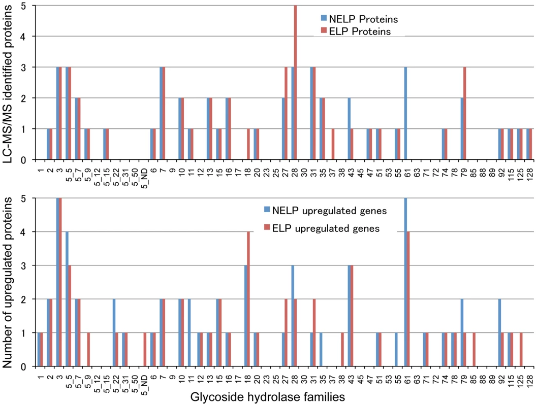 Glycoside hydrolase encoding genes show similar patterns of expression in media containing freshly ground and non-extracted loblolly pine wood (NELP) relative to the same substrate but extracted with acetone (ELP) to remove pitch and resins.