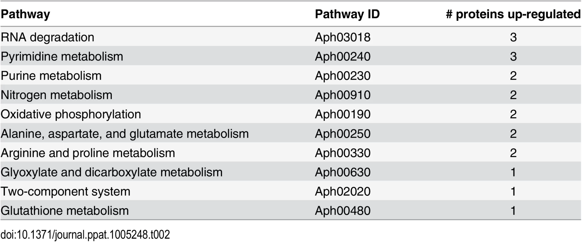 Pathways that are altered in ΔOMT during binding to and internalization into ISE6 cells.