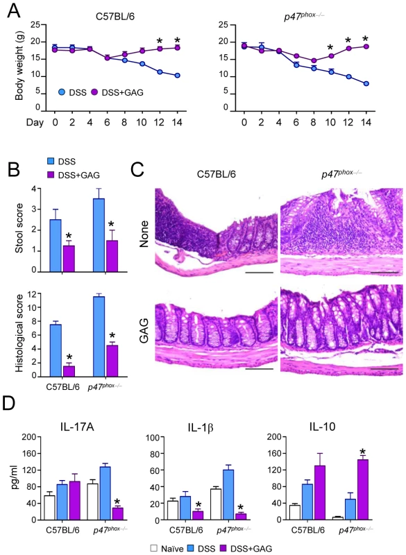 GAG protects mice from experimental DSS-induced colitis.