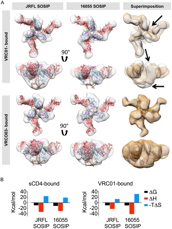 EM 3D reconstructions of VRC01- and VRC03-liganded SOSIP trimers.