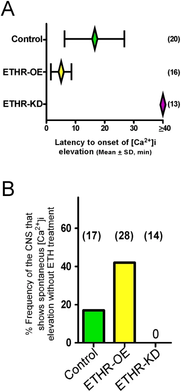 ETHR expression levels affect timing of calcium mobilization in CAMB neurons.