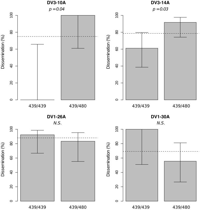 Isolate-specific association between marker 335CGA1 genotype and viral dissemination.