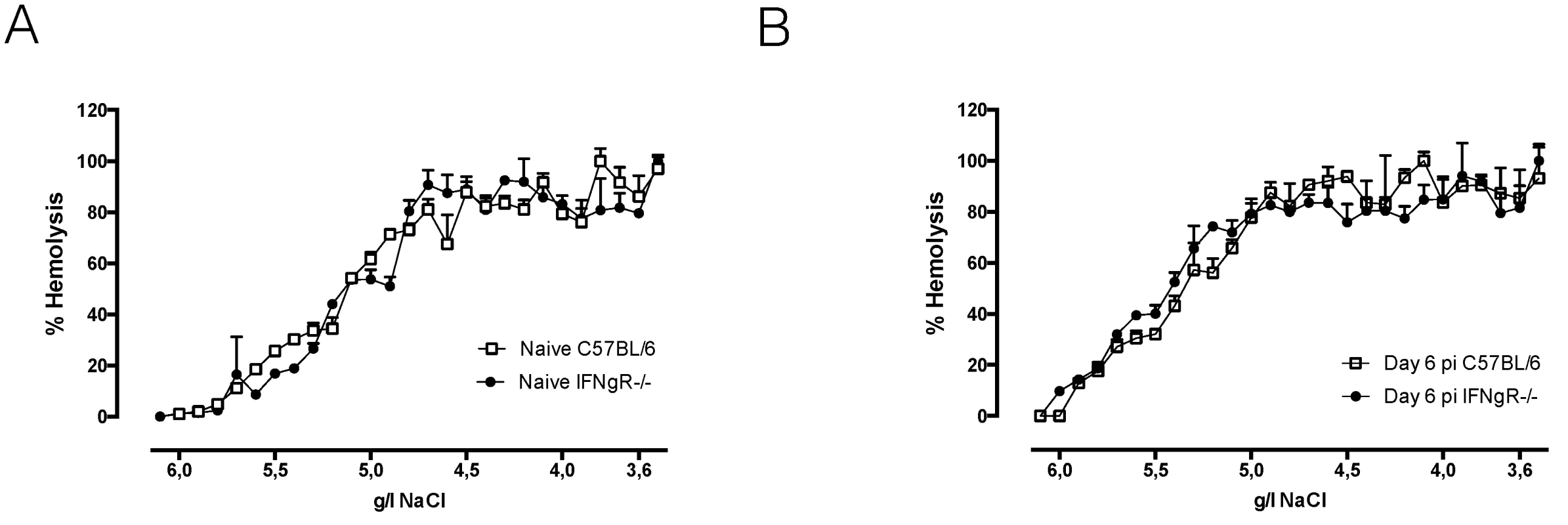 Hemolysis experiment: osmotic fragility profile of naïve (A) or infected (B) RBCs of day six infected C57BL/6 (white line) or IFNγR-/- (black line) mice.