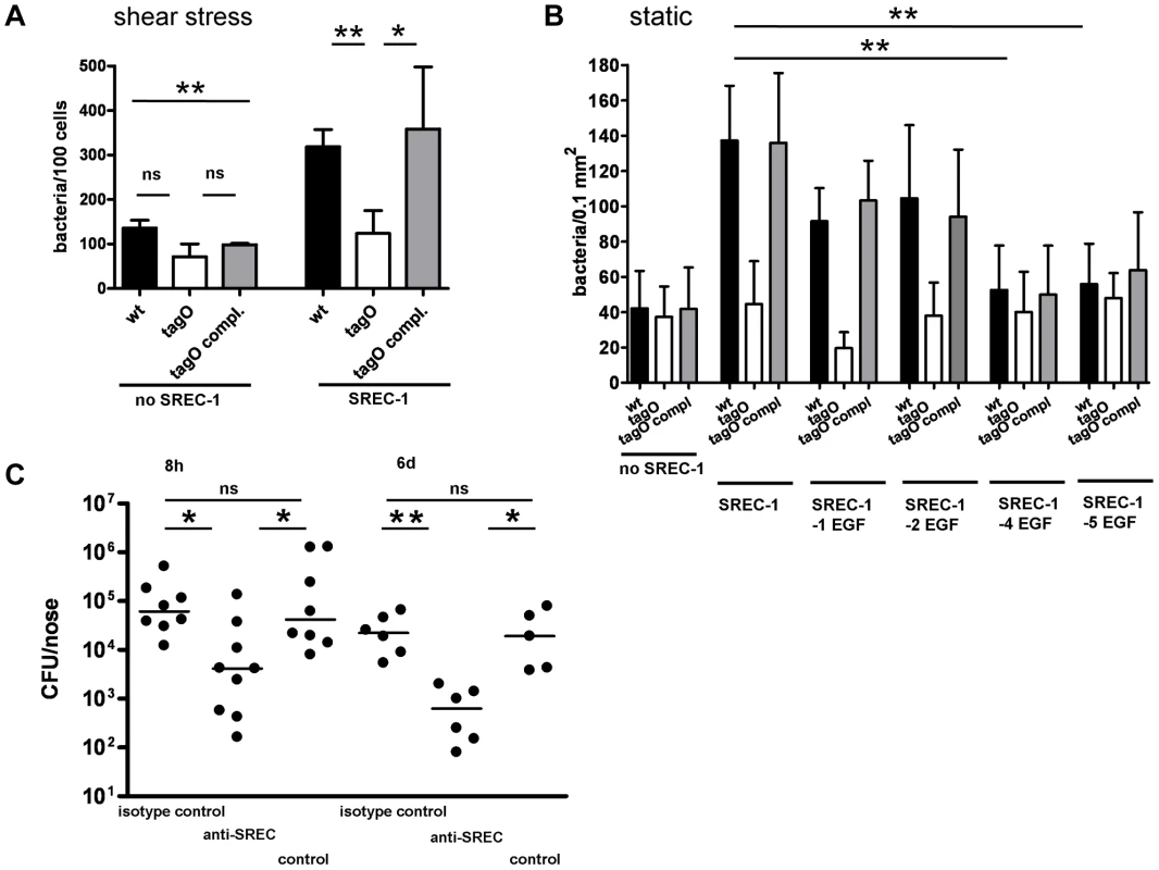 Impact of SREC-I on adhesion of <i>S. aureus</i> to CHO epithelial cells and impact of SREC-I on the early phases of nasal colonization in the cotton rat model.