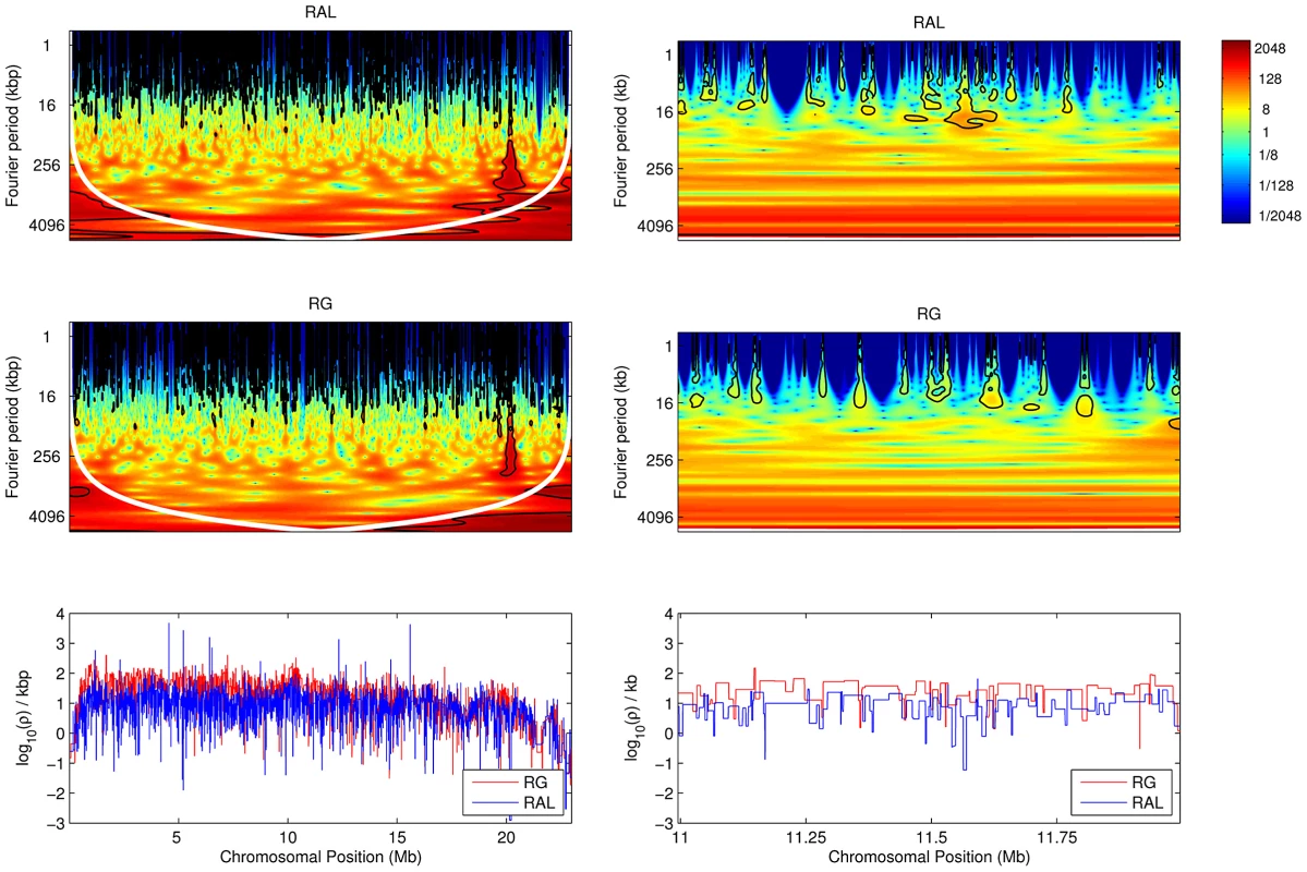 Local wavelet power spectrum of recombination rate variation across chromosome arm 2L.