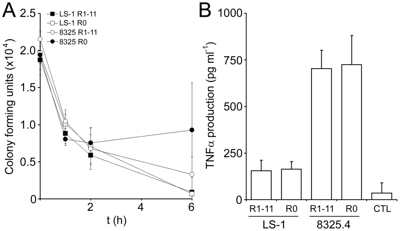 The Fn-binding region of FnBPA does not affect bacterial survival or TNFα production in whole human blood.