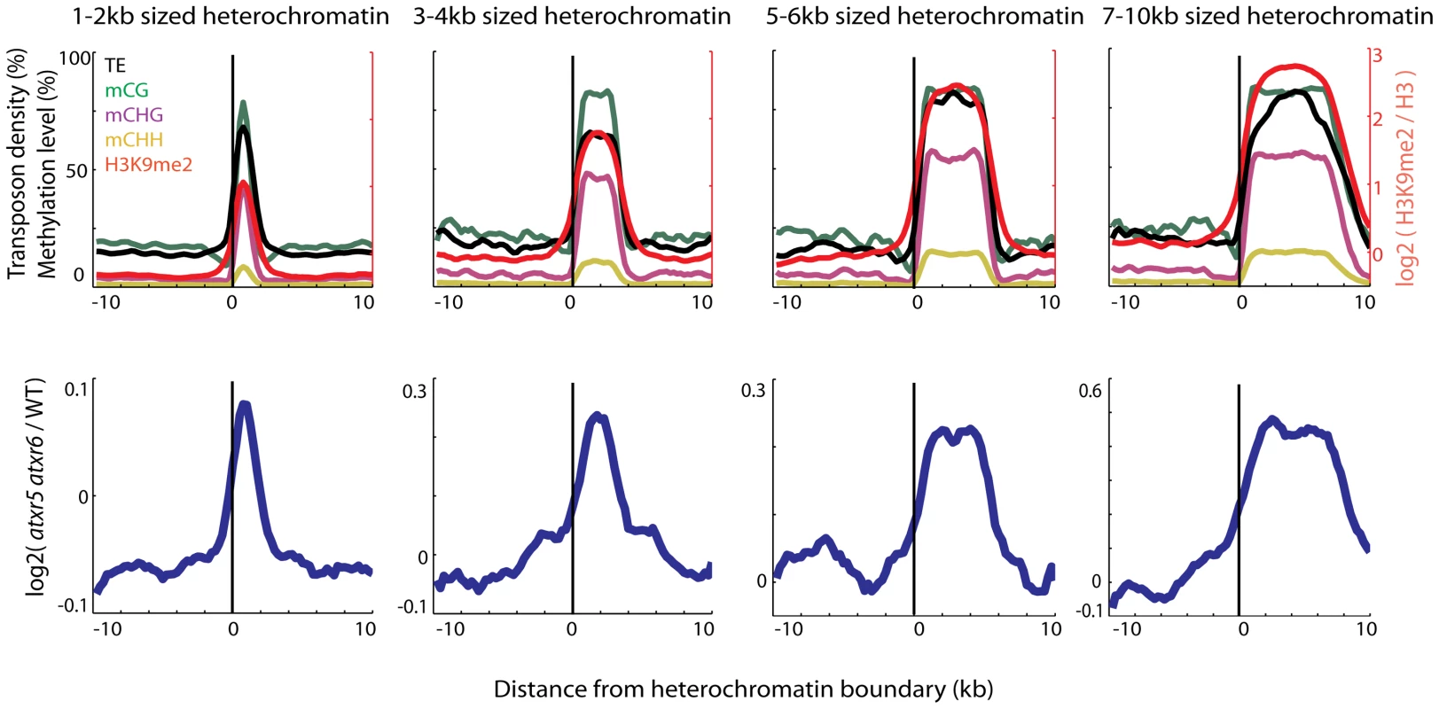 Heterochromatin is specifically re-replicated in <i>atxr5 atxr6</i> double mutants.