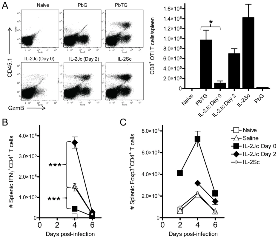 IL-2Jc-mediated protection is associated with impaired expansion of antigen-specific CD8<sup>+</sup> T cells, reduced effector CD4<sup>+</sup> T cell responses, and Treg cell expansion.