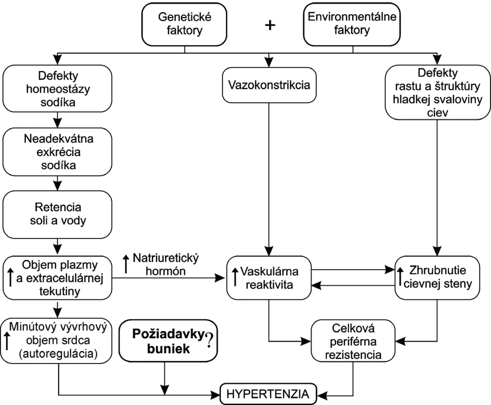 Hlavné faktory patogenézy esenciálnej hypertenzie