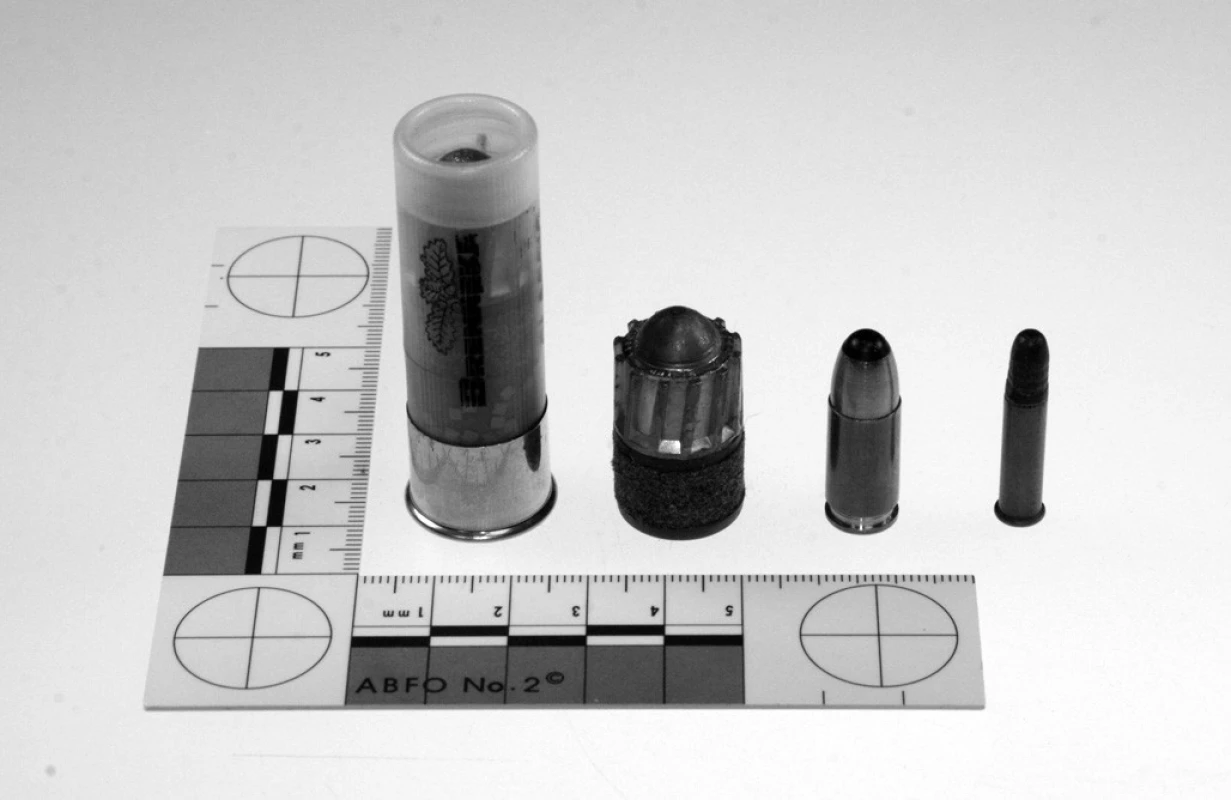 Struktura náboje Brenneke Classic ráže 16 a typické střely Brenneke stejné ráže ve srovnání s pistolovým nábojem ráže 9 mm Luger a malorážkovým nábojem ráže .22 LR (zleva doprava)
