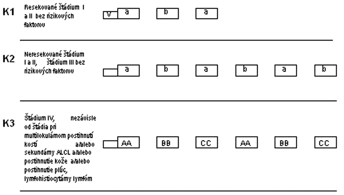 Protokol NHL BFM 95 – III. terapeutická skupina.

K1, K2, K3 – rizikové skupiny, V – predfáza, a, b, AA, BB, CC – jednotlivé cykly chemoterapie
V: predfáza: dexametazón, cyklofosfamid, i. th: metotrexát, cytarabín, prednizolón
a: dexametazón, metotrexát 500 mg/m&lt;sup&gt;2&lt;/sup&gt; v 24-hod. + leukovorín, ifosfamid, cytarabín, etopozid, i. th metotrexát, cytarabín, prednizolón
AA: dexametazón, vincristín, metotrexát 5g/m&lt;sup&gt;2&lt;/sup&gt; v 24-hod. inf. + leukovorín, ifosfamid, cytarabín, etopozid, i. th metotrexát, cytarabín, prednizolón
b: dexametazón, metotrexát 500 mg/m&lt;sup&gt;2&lt;/sup&gt; v 24-hod. inf. + leukovorín, cyklofosfamid, doxorubicín, i. th metotrexát, cytarabín, prednizolón
BB: dexametazón, vincristín, metotrexát 5g/m&lt;sup&gt;2&lt;/sup&gt; v 24-hod. inf. + leukovorín, cyklofosfamid, doxorubicín, i. th metotrexát, cytarabín, prednizolón
CC: dexametazón, vindezín, cytarabín, etopozid, i. th metotrexát, cytarabín, prednizolón