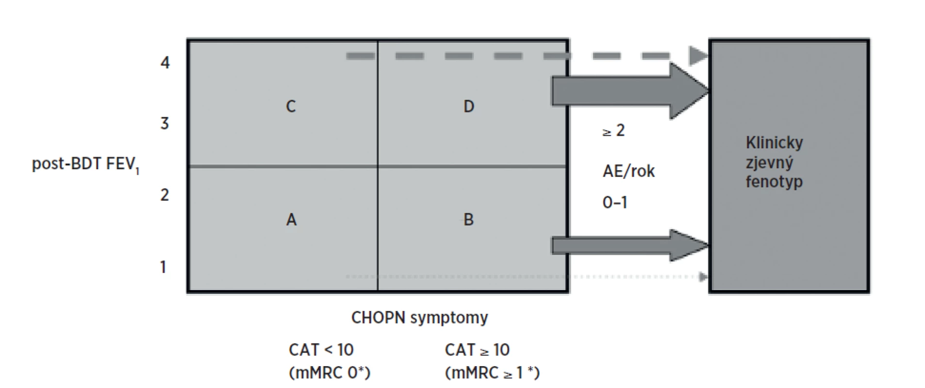 Klasifikace CHOPN podle kategorií (A–D) a její využití pro pátrání podle fenotypu
