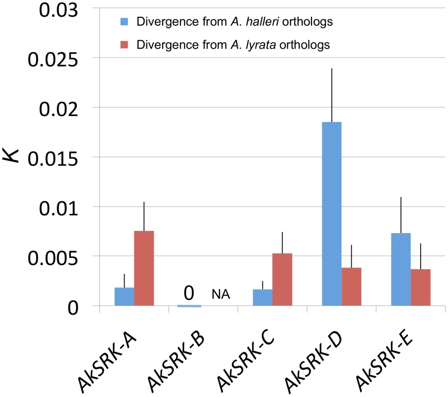 Nucleotide divergence of <i>AkSRK</i> of five <i>S</i>-haplogroups in <i>A. kamchatica</i> from two parental species.